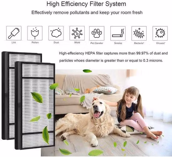 Purificatore d'aria domestico ad alte prestazioni con 2 elementi filtranti