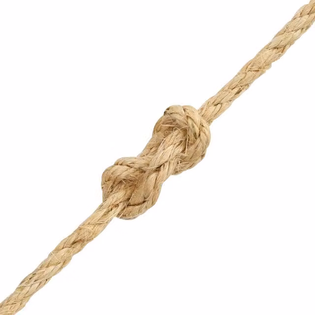 Corda in sisal naturale vidaXL, colore beige, diametro 10 mm, lunghezza 250 m