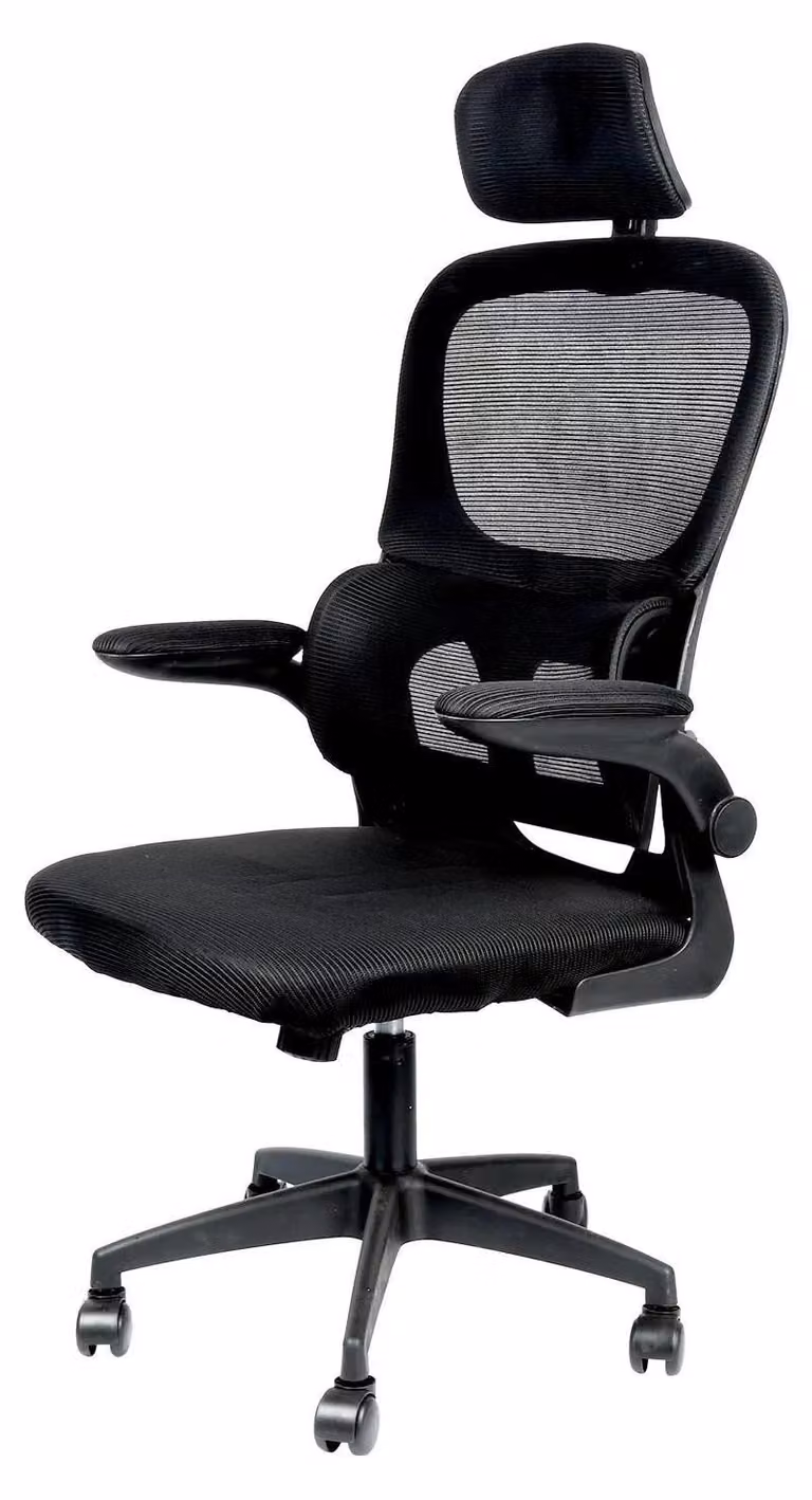 Sedia da ufficio, design ergonomico, funzioni regolabili, nera