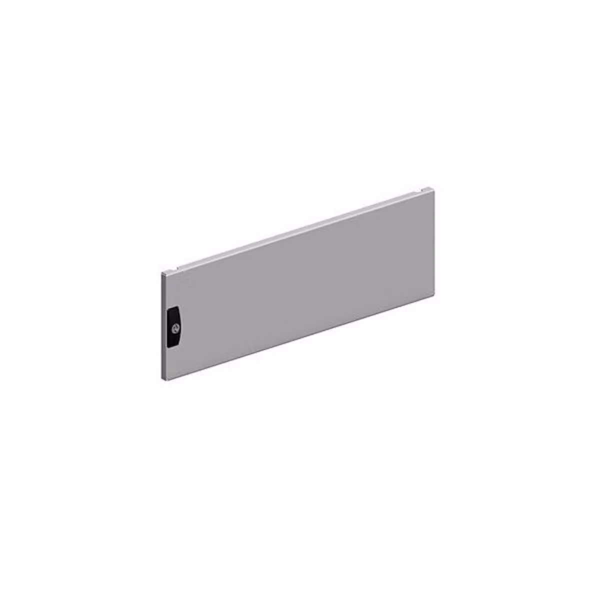 Schneider Electric Porta a battenti 600x600 mm NSYMPD12M6