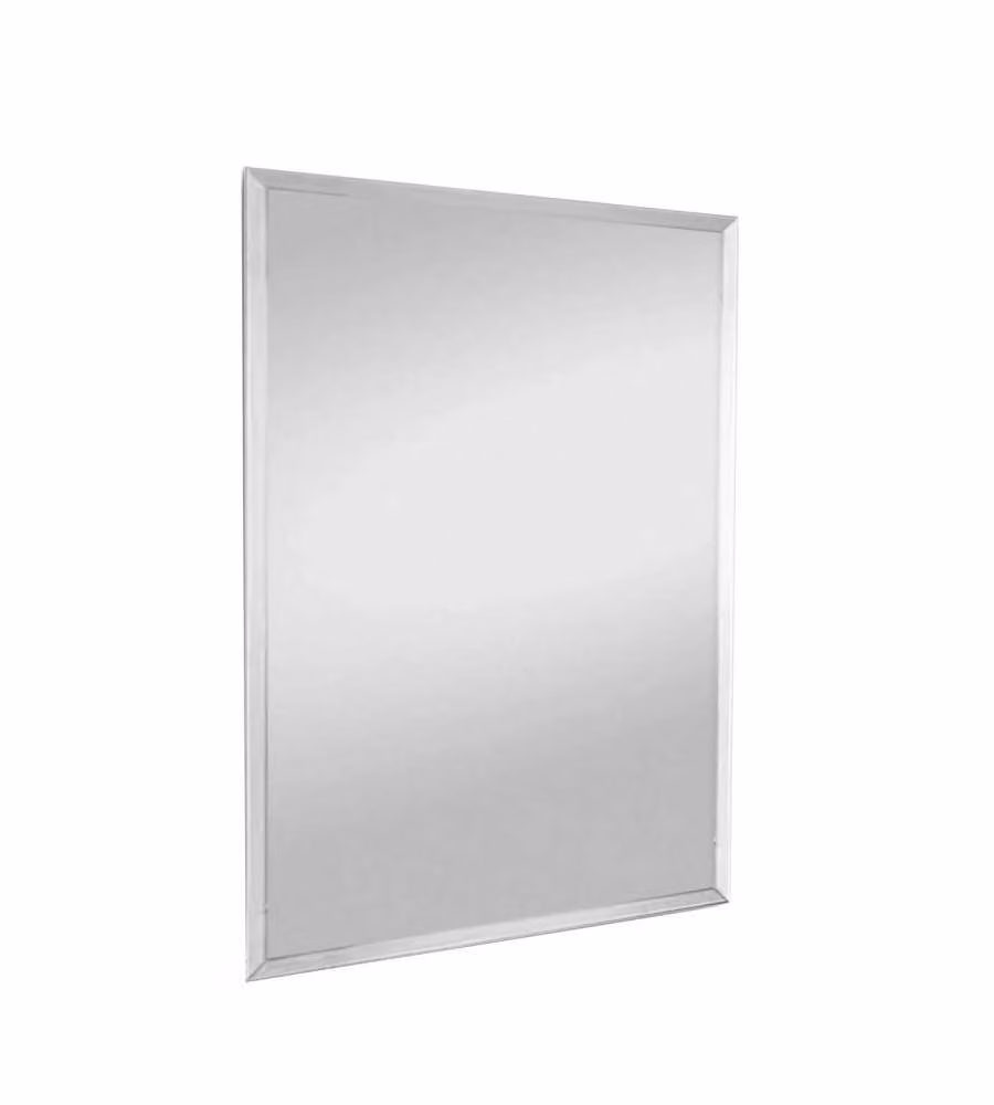 ROSI Specchio da Parete Cornice Liscia 60x30 cm Elegante Interni