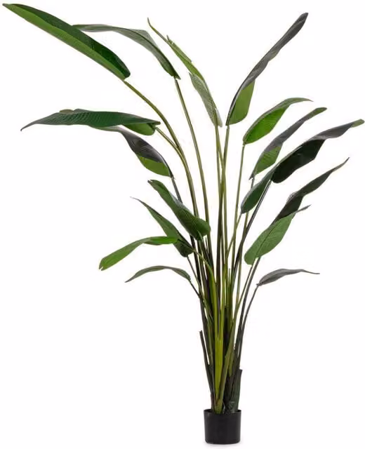 Pianta Artificiale Strelitzia 180x140x310 cm in Plastica con Vaso Verde