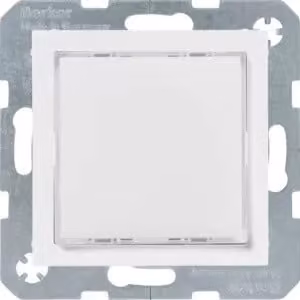 Berker 29518989 LUCE LED RGB M DEL Z-RA S.1/B.X PW GLÄ