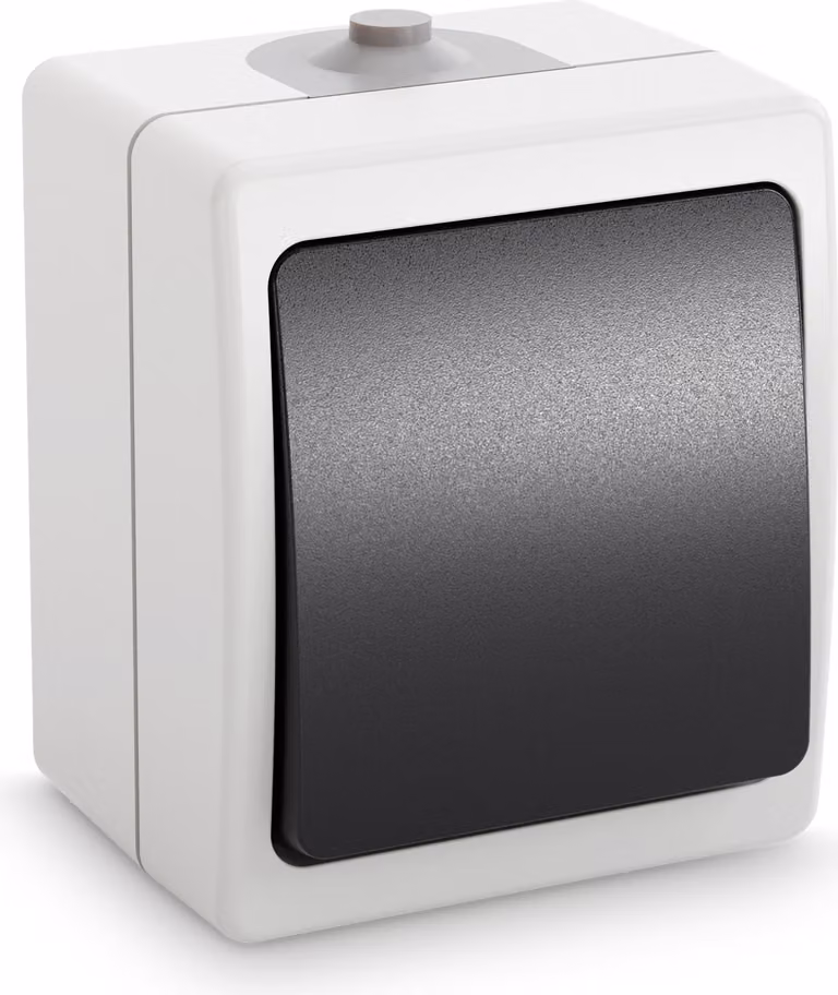 ABSINA Interruttore esterno per locali umidi - Interruttore esterno a 1 canale IP54, 250V, 10A - Interruttore esterno per locali umidi