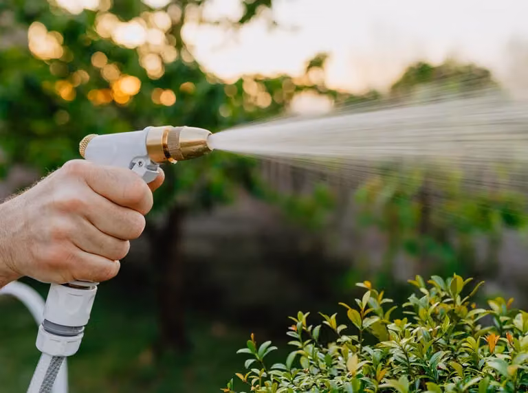 Bradas Pistola a spruzzo AQUA LUX: 3 funzioni di spruzzo