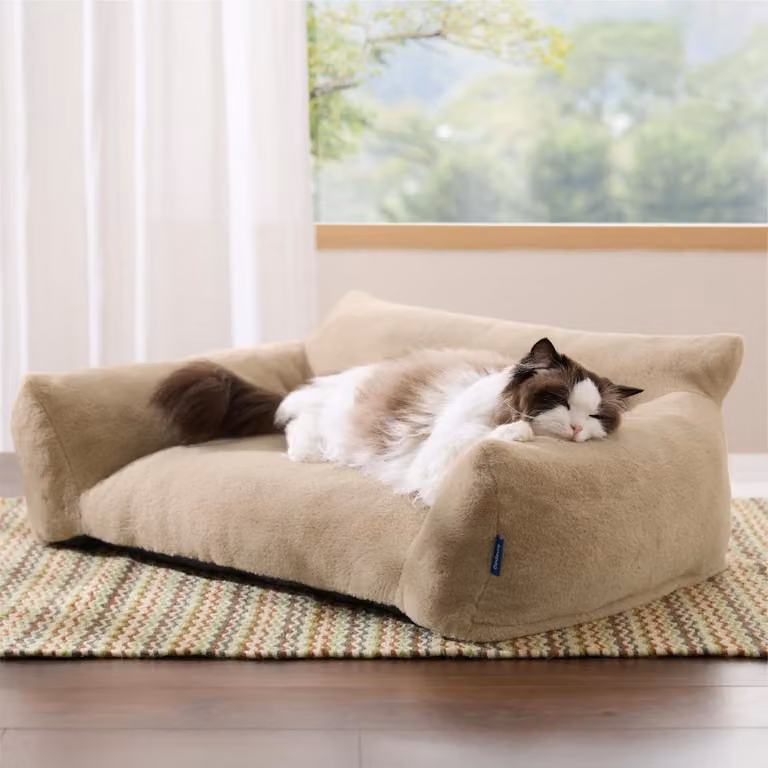 Cuccia per gatti, divano per cani, dimensioni 76x51x25 cm, modello cammello con rivestimento lavabile in lavatrice