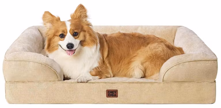 Cuccia ortopedica per cani, color beige chiaro, dimensioni 89x56x17 cm, con rivestimento removibile