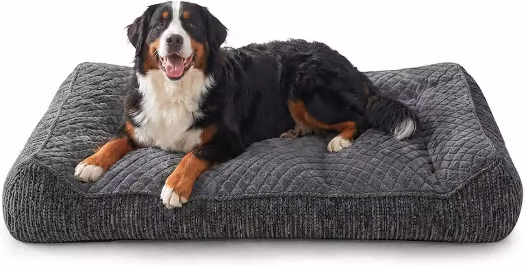 Cuccia ortopedica per cani, taglia L, grigia, in tessuto chenille, dimensioni 114 x 81 x 24 cm, imbottitura in schiuma, per uso interno