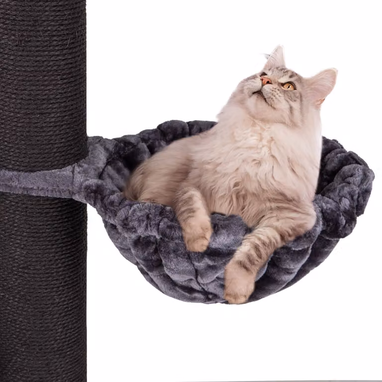 HAPPYPET Cuccola universale XXL per tiragraffi Ø 45 cm - Cuccola per gatti di grossa taglia, Maine Coon, resistente fino a 20 kg di peso, cuccola per gatti, antracite