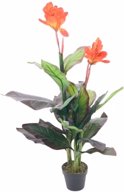 Pianta ornamentale Canna Lily con fiori arancio in vaso Effezeta Italia, Altezza: 115 cm