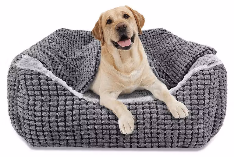Cuccia per cani con coperta removibile, lavabile, antiscivolo, adatta a cani di grossa taglia fino a 27 kg, dimensioni 89x64x23 cm