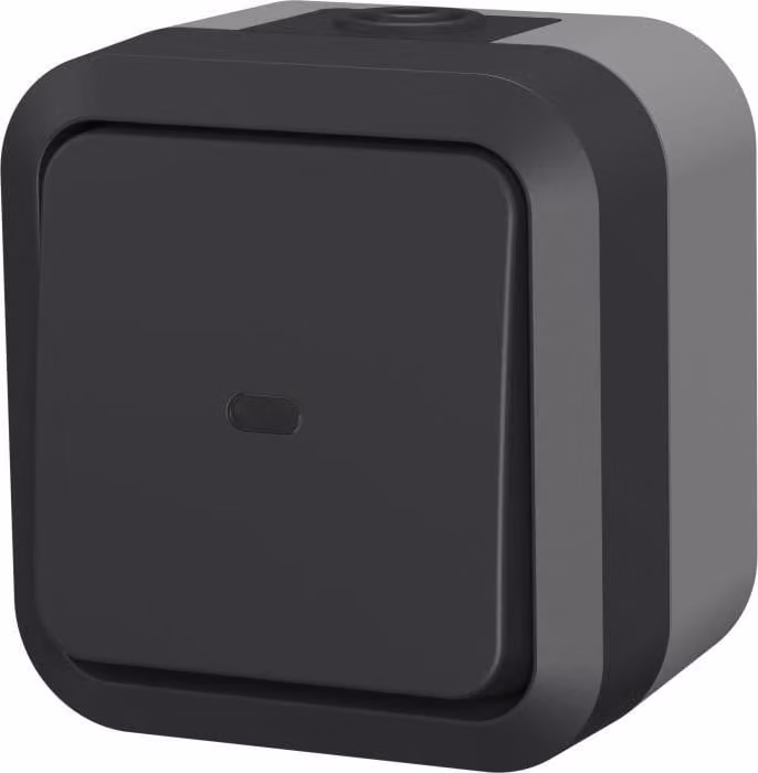 Interruttore Aqua Pro QUARX, per esterni IP55, con indicatore luminoso, 250 V 10 A