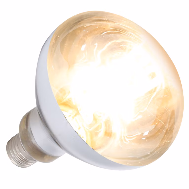 Lampada termica per rettili, lampada a spettro completo per rettili, lampada termica per rettili da compagnia, lampada termica per rettili da 100W, lampada termica per tartarughe, lucertole, serpenti