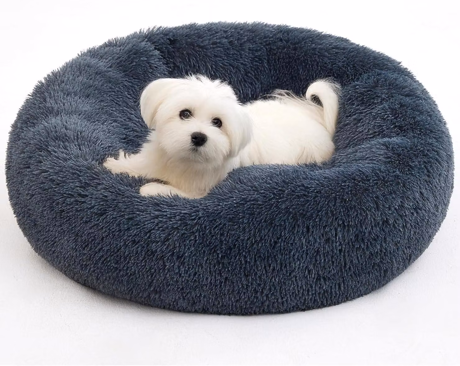 Cuccia per cani, 60 cm, grigio scuro, lavabile, adatta a cani di piccola taglia