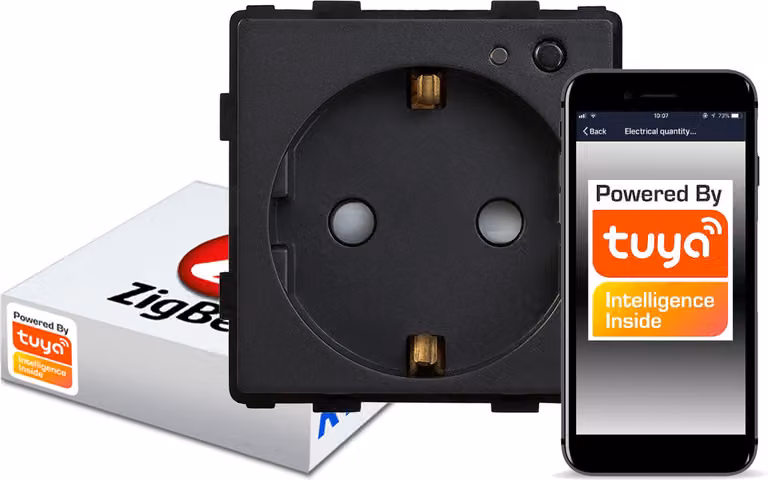 Presa a muro intelligente ZigBee TUYA RTX SH C