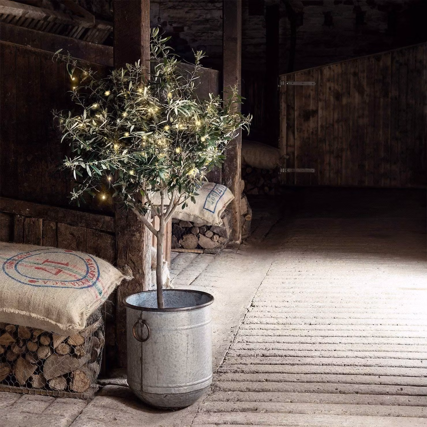Catena luminosa con 50 LED bianco caldo, cavo verde, timer, lunghezza 6,4 metri