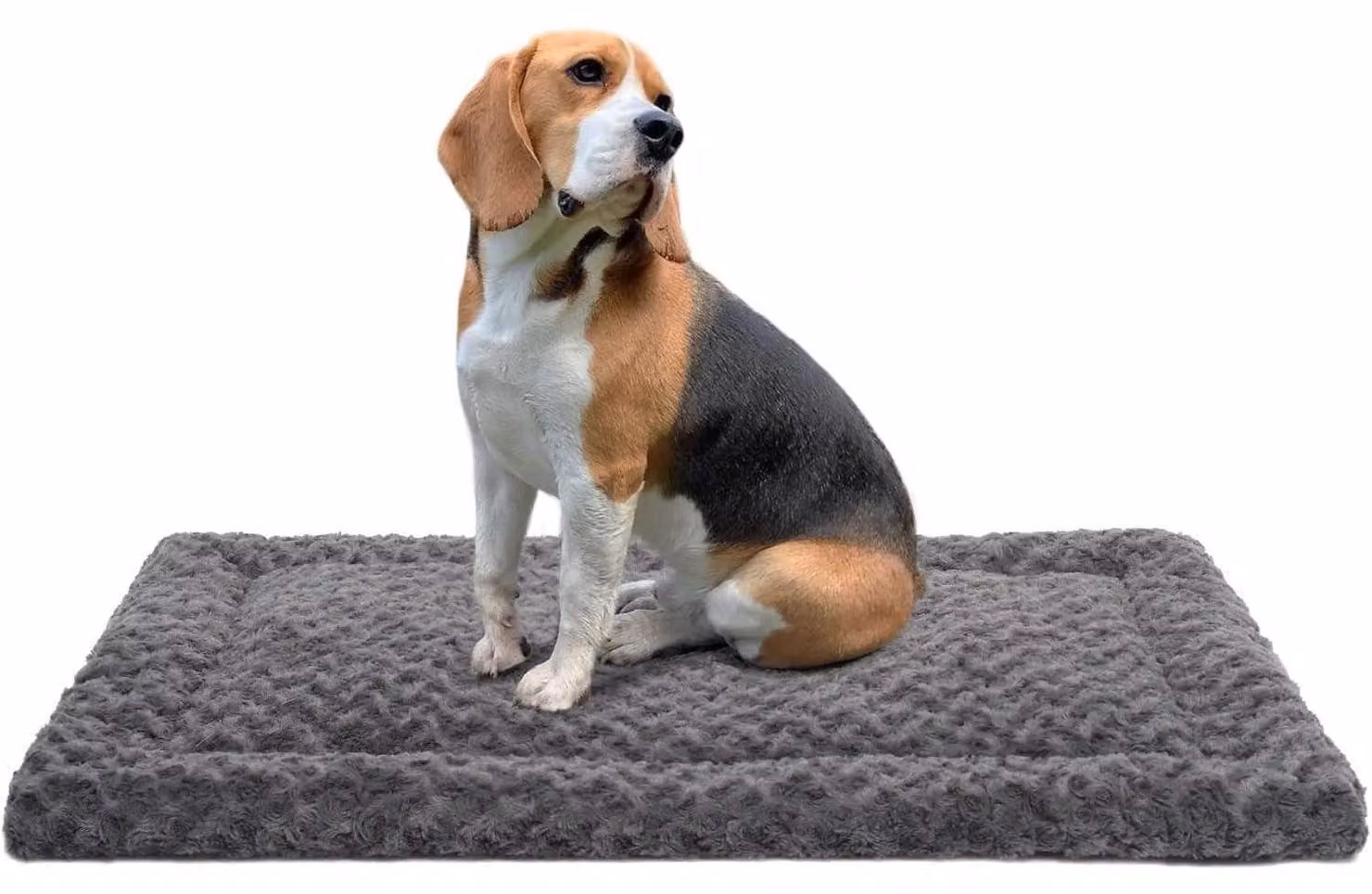 Tappetino lavabile per cani, dimensioni 91x58 cm, colore grigio scuro