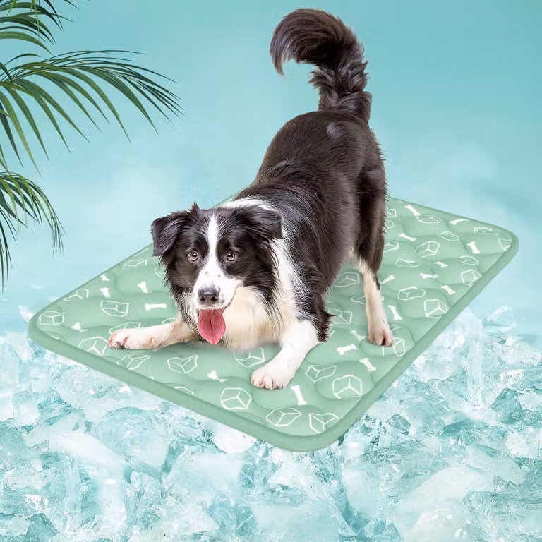 Tappetino refrigerante per cani, tessuto Arc-Chill, spessore 2 cm, dimensioni 90x70 cm, colore verde