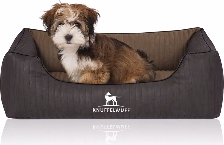 Cuccia per cani Memory Outback in ecopelle trapuntata al laser, colore nero-taupe