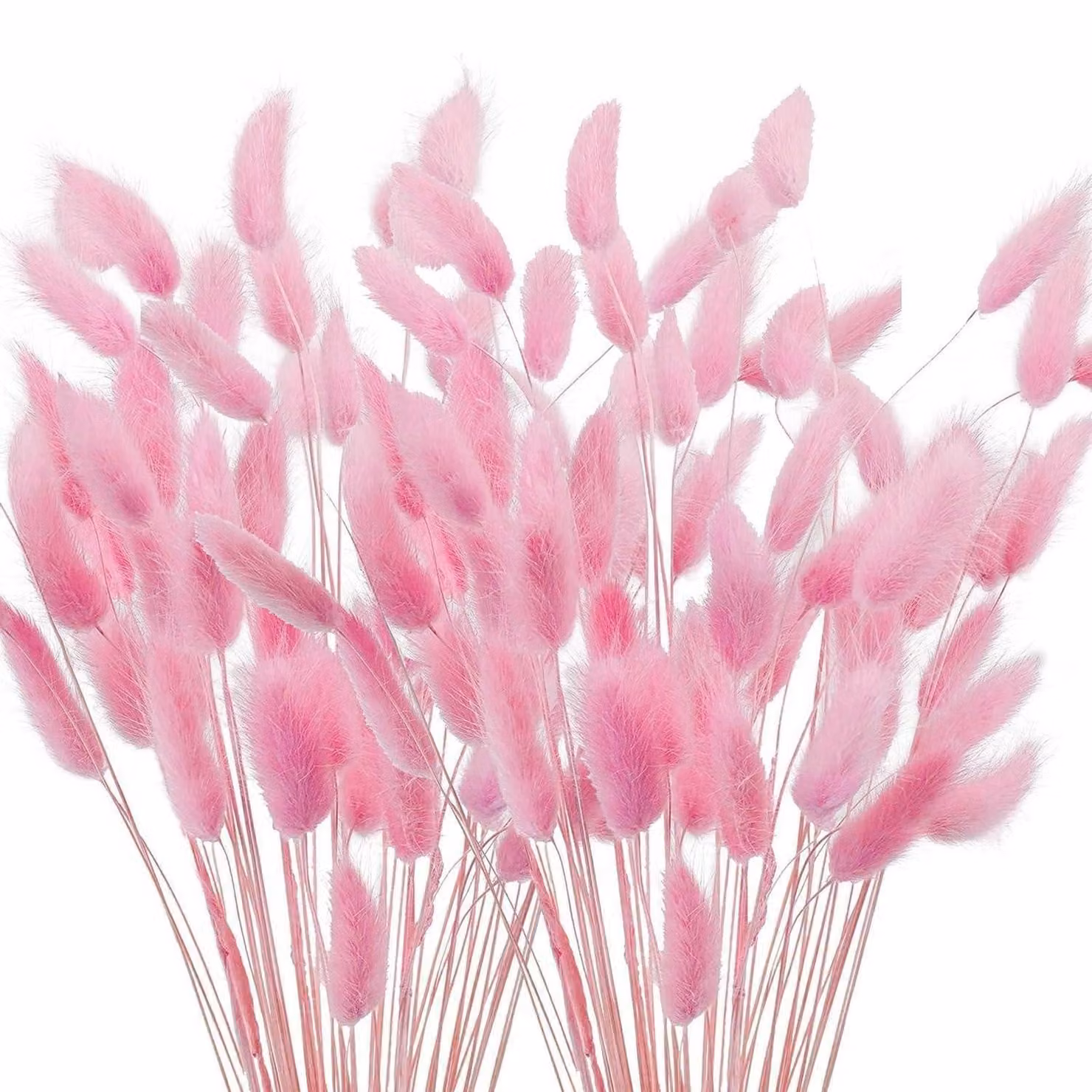 Pampas, fiori secchi, 120 pezzi, 40 cm, rosa, erba coda di coniglio, decorazione