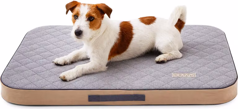 DOTTY Materasso ortopedico per cani, memory foam VISCO Letto ortopedico per cani Colore grigio Taglia S (60 cm x 45 cm)