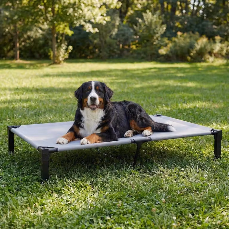 Cuccia per cani da esterno, dimensioni extra large, 153x92x24 cm, colore grigio, adatta a cani fino a 55 kg