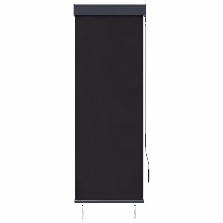 Tenda a Rullo per Esterni 60x250 cm Antracite