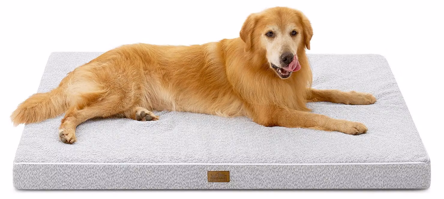 Cuccia ortopedica per cani, taglia XXL - 137x111x10 cm - Grigia - Materiale sintetico