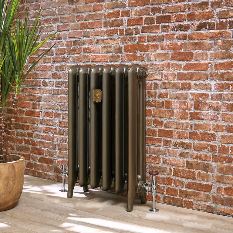 Radiatore in Ghisa Tradizionale con Colonne Ovali - Nero - 760mm x 272mm - Ertè