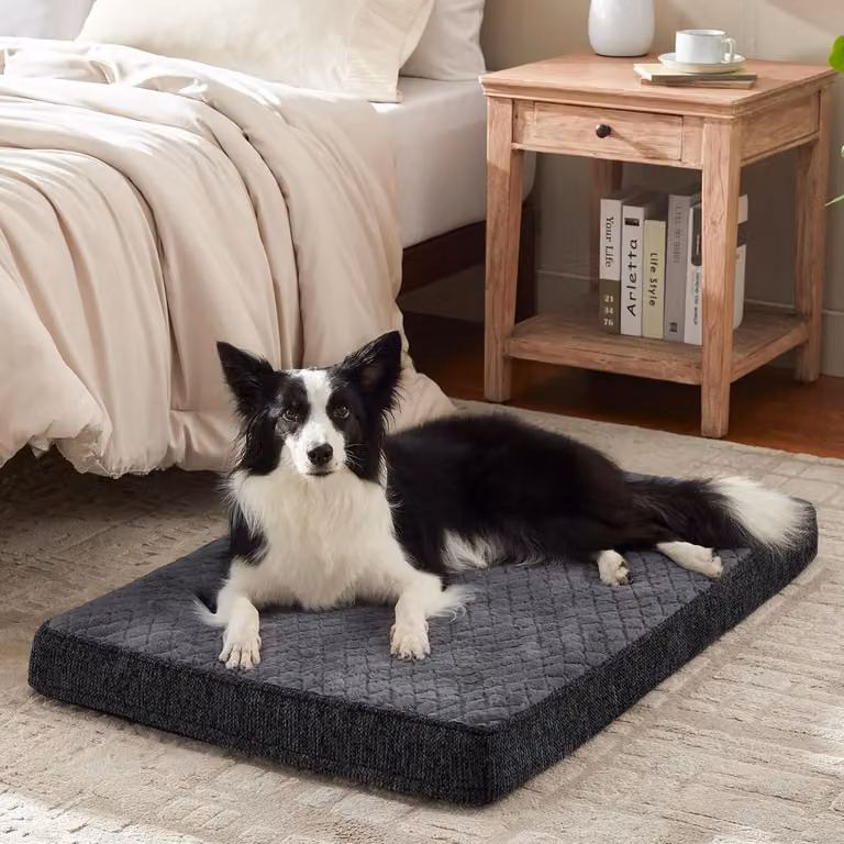 Cuccia ortopedica per cani - Lavabile e antiscivolo - 89 x 56 x 9 cm
