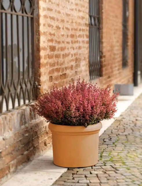 Vaso rotondo Teraplast marrone in plastica per uso da tavolo L: 70 cm, P: 70 cm, H: 53 cm – 2
