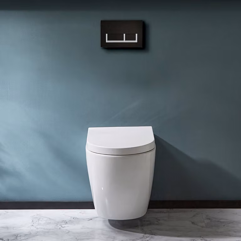 Sanitario WC Sospeso Senza Brida con Telaio Alto - Placca di Comando Rettangolare Bianca/Cromata - Ashbury