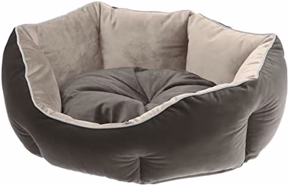 Ferplast, divanetto per cani e gatti modello QUEEN 45, completo di cuscino. Cuccia imbottita per animali domestici