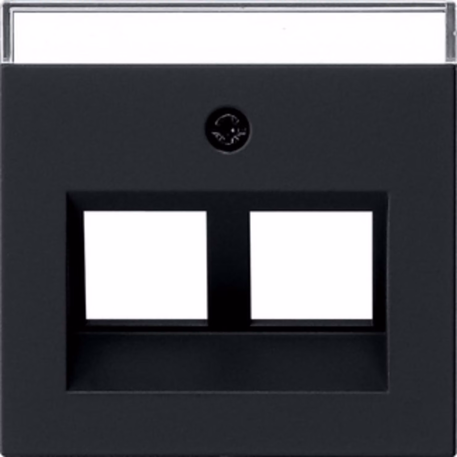 Gira coperchio sw 30°+BSF f.anello di supporto 2640005 (2640005)
