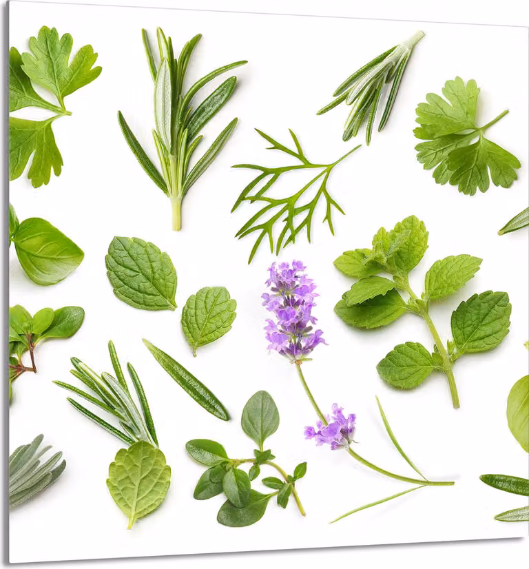 PIATTO IN VETRO PER CUCINA 60x65 Piante