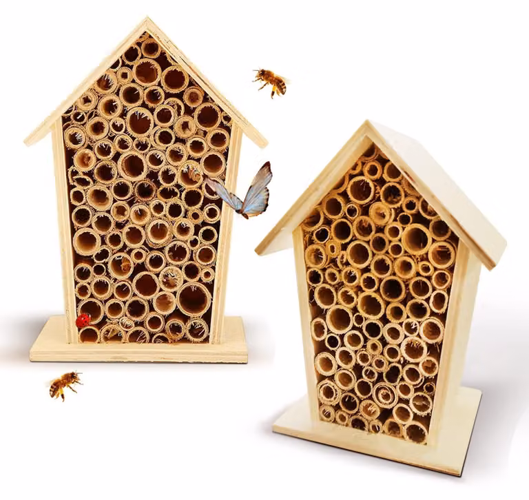 Albergo per insetti in legno per il giardino, hotel per api