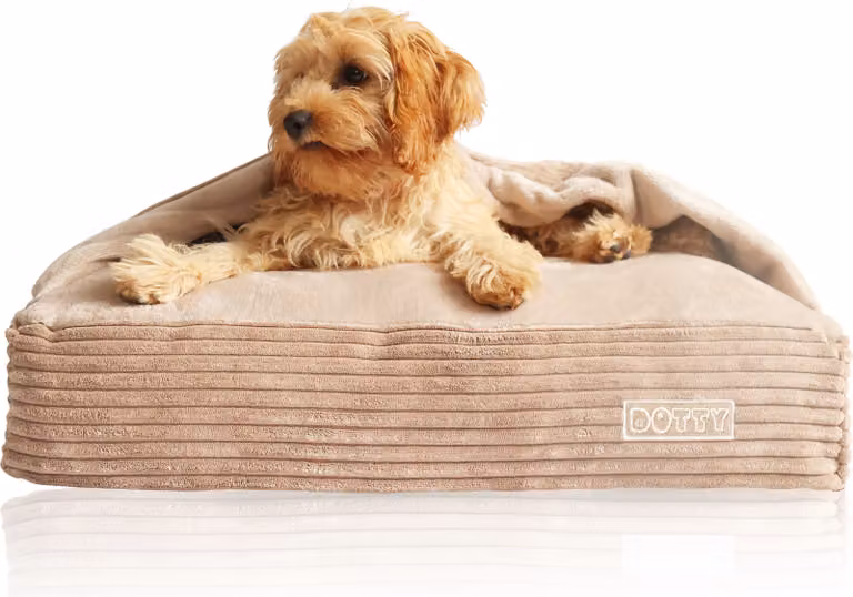 DOTTY Cuddly Cave Accogliente letto per cani Nido per gatti Sacco a pelo per cani - Tessuto a coste beige cappuccino - Taglia XS (55 x 40 cm)