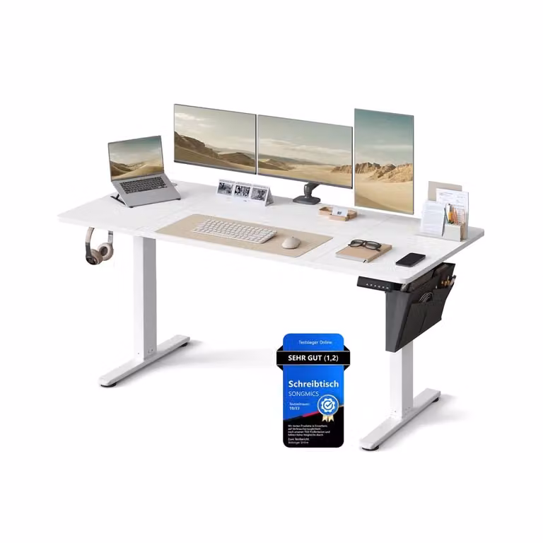 Scrivania Regolabile in Altezza Scrivania Elettrica per Lavoro in Piedi, Bianco Nuvola / 70 x 160 x (72-120) cm (P x l x H)