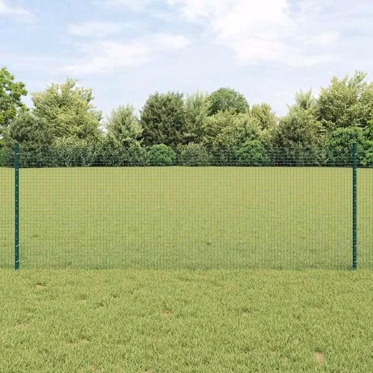 Maison Exclusive - Recinzione con Posto Verde 0,8 x 10 m Acciaio e PVC