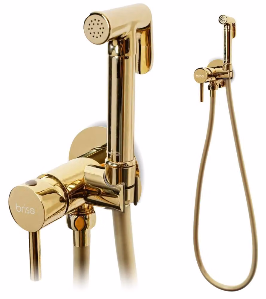 Rubinetto per bidet da incasso rubinetto per WC rubinetto per bagno oro