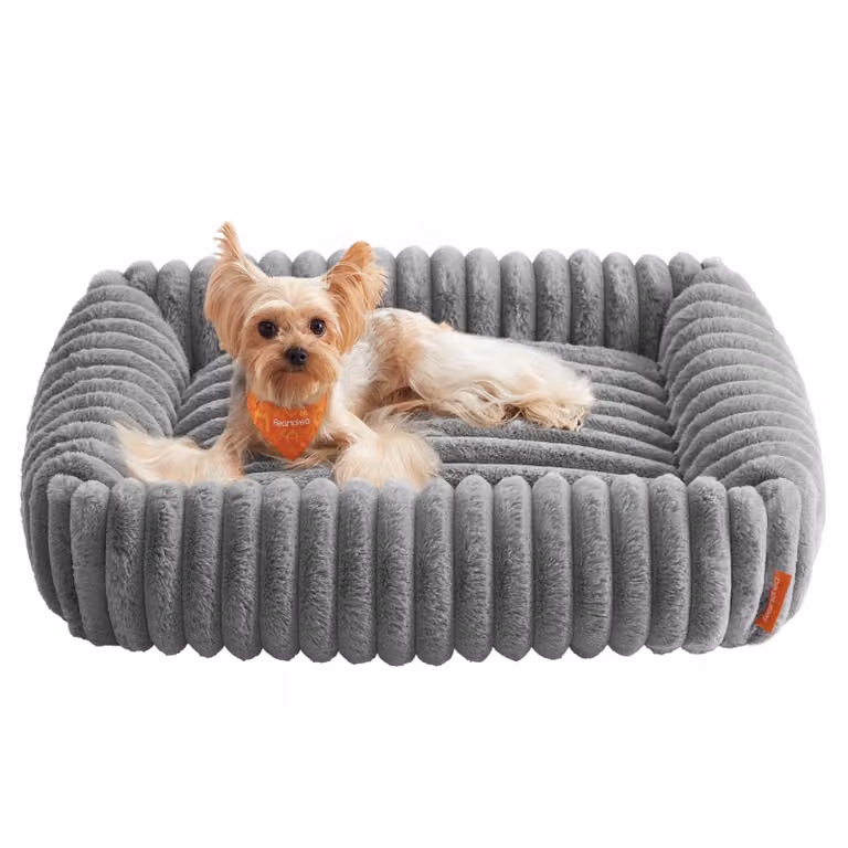 Letto per cani Feandrea, cesto ortopedico per cani, cuscino lavabile per cani, tappetino per cani, M