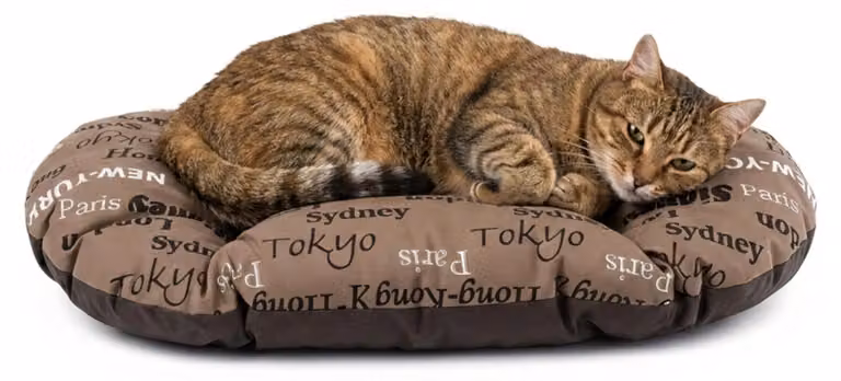 Ferplast cuscino animale Relax 55 x 36 cm cotone marrone