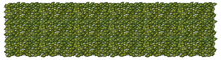Schermo per balcone con foglie Verde e Giallo 300 x 75 cm