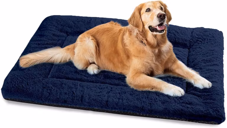 Cuccia per cani, lavabile, adatta a cani di grossa taglia, dimensioni 122 x 75 cm, cuccia morbida con base antiscivolo, cuccie extra large per cani di grossa taglia