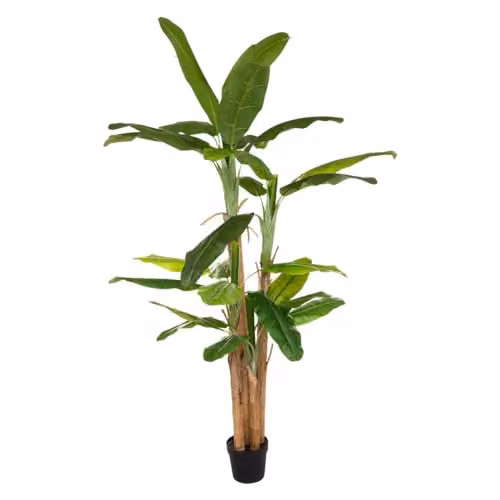 Atmosphera - Banana artificiale gigante H285 cm