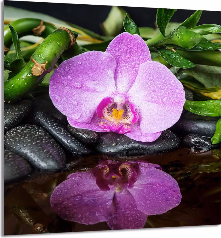 PIATTO IN VETRO PER CUCINA 60x65 Orchidea
