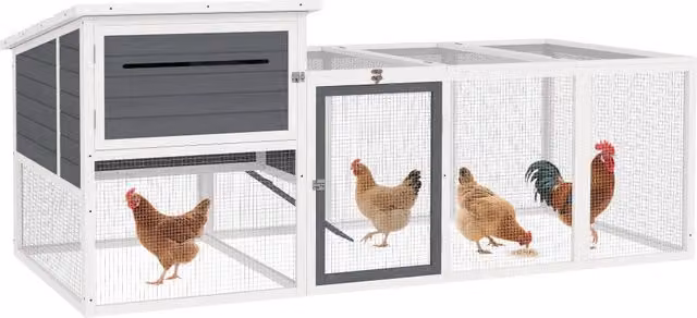 Pollaio per galline con casetta, nido per cova e area esterna in legno di abete laccato, Grigio, L: 214 cm, P: 101 cm, H: 91.5 cm