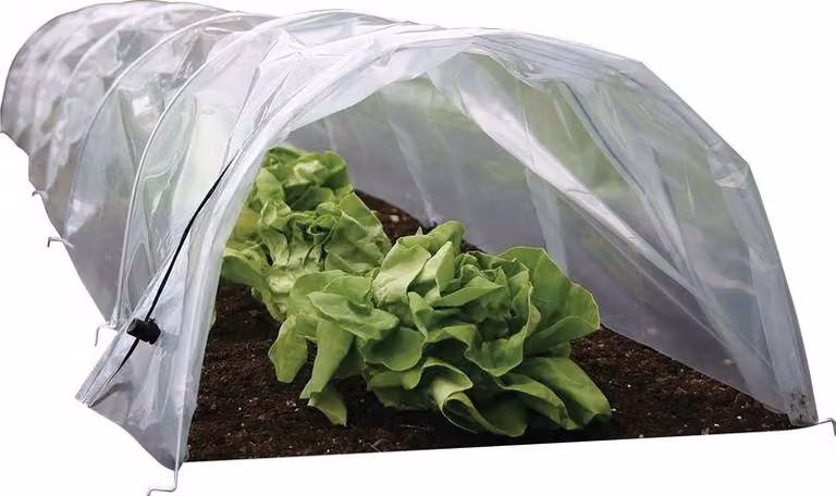 Serra Strend Pro Greenhouse, mini serra in pellicola, 55x600x40 cm