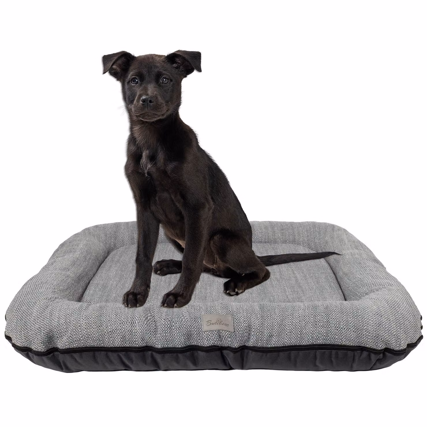 Cuccia per cani - Tappetino per cani impermeabile e lavabile in Codura | In & Outdoor per cani di taglia media e grande | Colore: grigio, dimensioni L: 95 x 75 cm