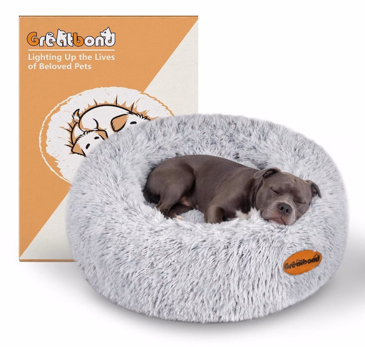 Cuccia ortopedica per cani, forma circolare, diametro 80 cm, sfumatura di colore grigio, con rivestimento removibile e forma stabile